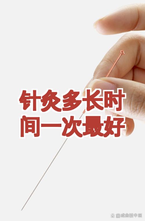 针灸几天扎一次最好游戏截图