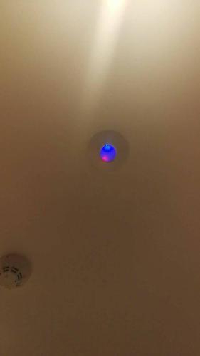 房间里有小红点在闪