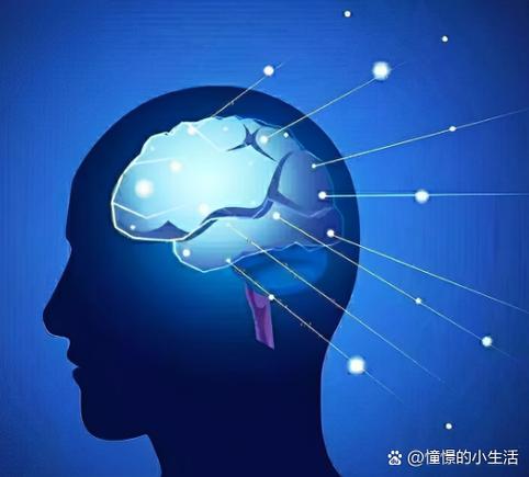 什么样的思维最厉害
