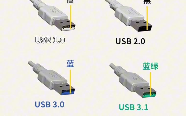 usb蓝色和黑色插孔缩略图