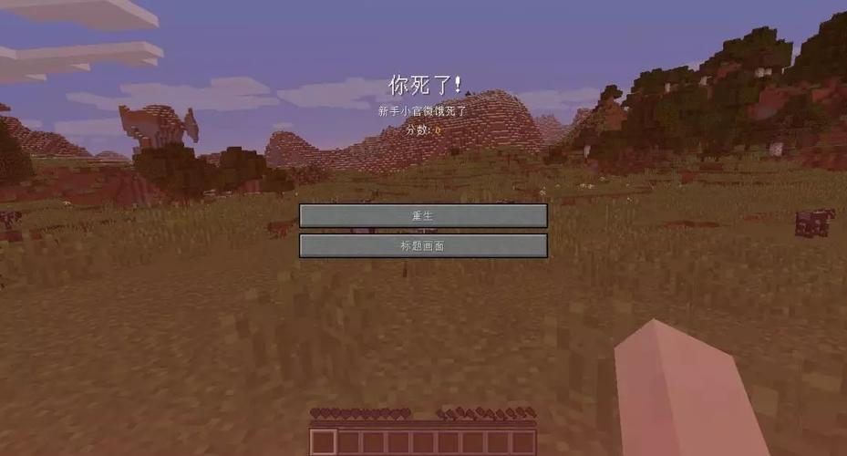 在我的世界里饿死