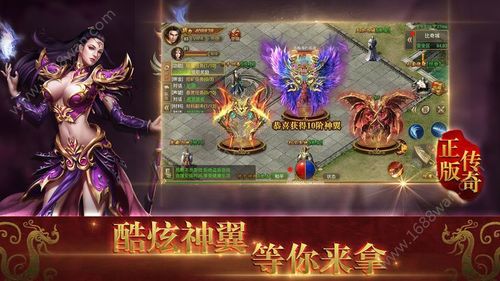 岁月征途