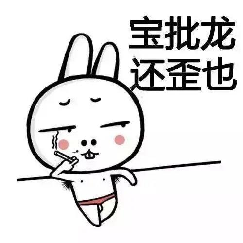 宝批龙表情包