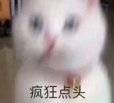 点头表情包图片缩略图