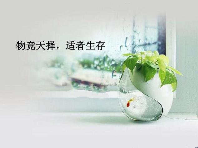 无尽天择