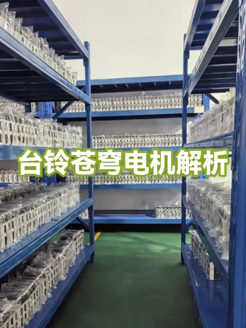 台铃苍穹自动下电设置方法详解视频