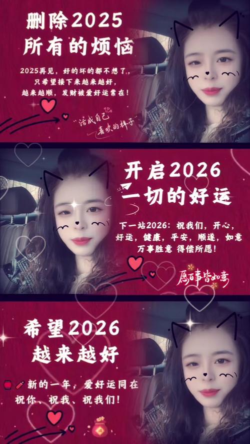 2026是什么意思爱情截图
