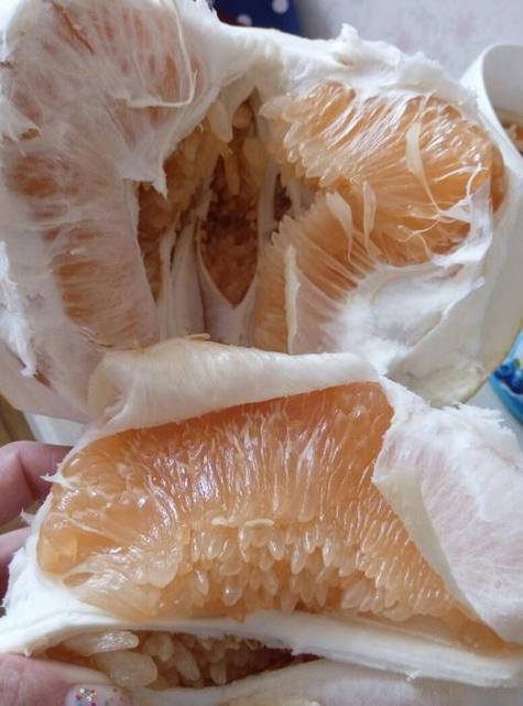 不熟的柚子能吃吗