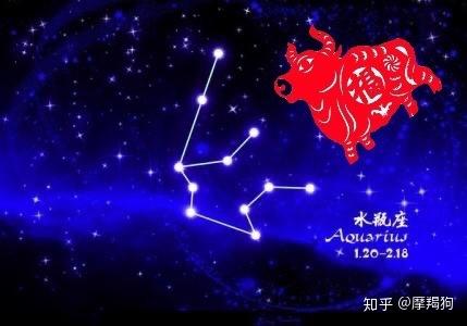 水瓶座属牛的女孩聪不聪明