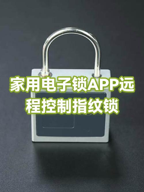 指纹锁可以远程控制吗