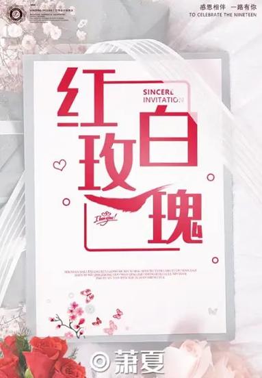 百变大侦探红白玫瑰复盘