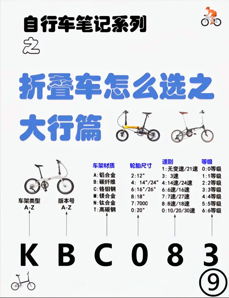折叠车十大后遗症截图
