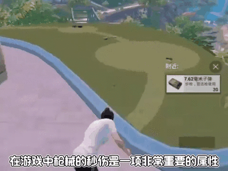 香肠派对秒伤最高的枪