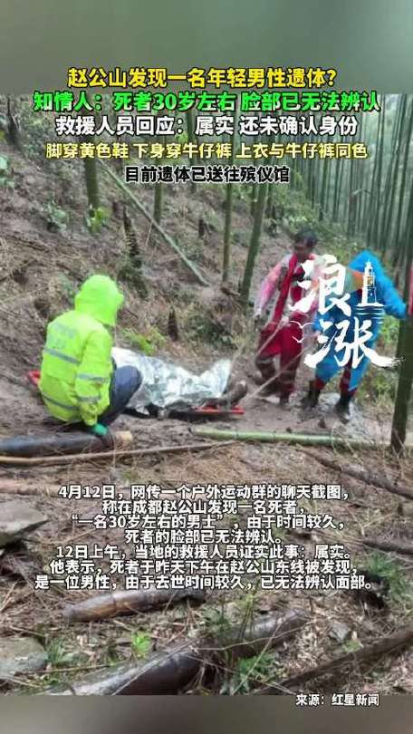 赵公山失温小熊遗体将做标本截图