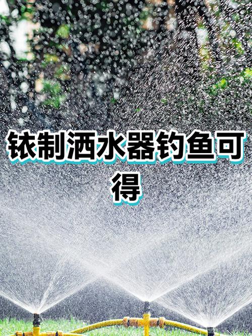 铱制洒水器什么时候卖