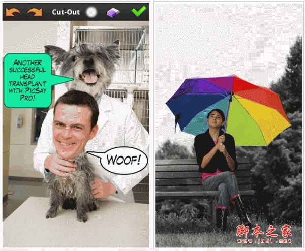 picsaypro完美汉化版图标