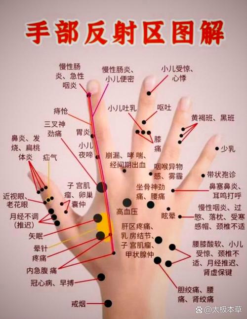 掌上医指通