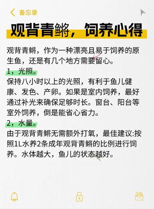 养鱼啊什么意思