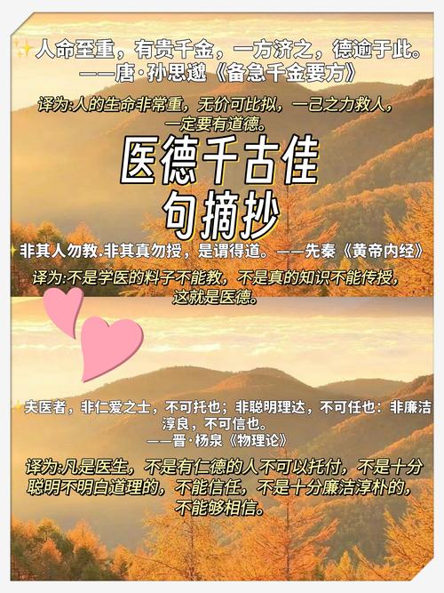 医德v3.2汉化下载