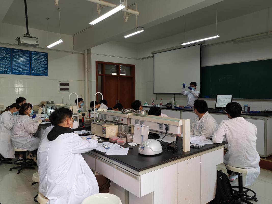 开挂科技软件游戏截图