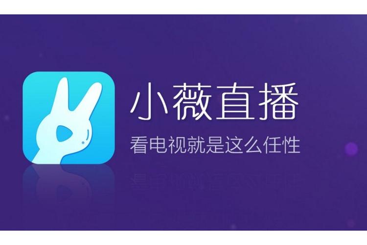 小薇直播 vip游戏截图