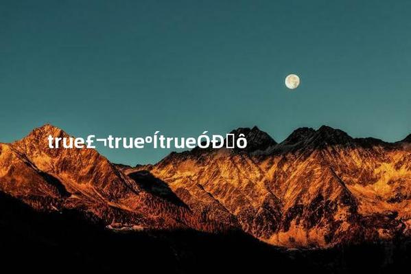 true与ture的区别