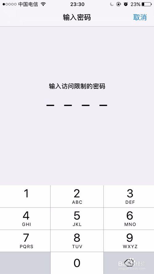 苹果的访问限制忘记密码关