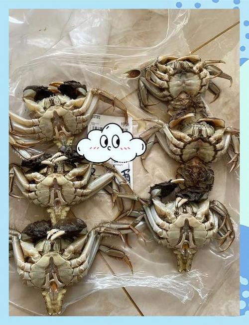 活螃蟹放一晚上会死吗