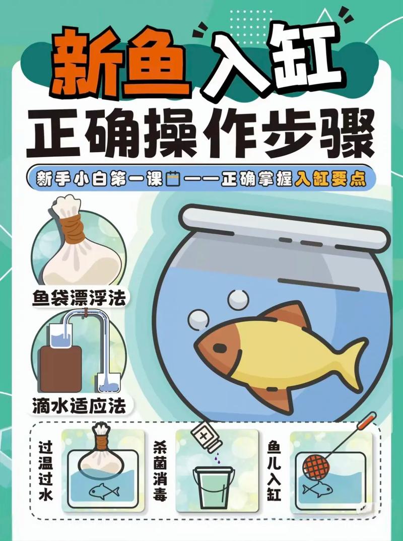 新老鱼合缸后几天喂食缩略图