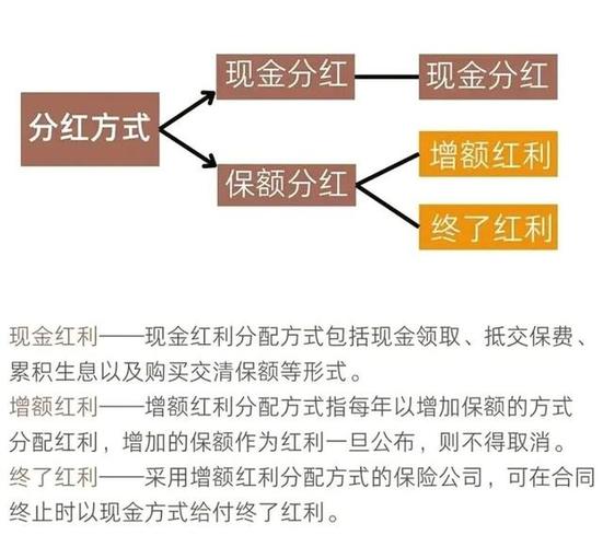 公司分红流程