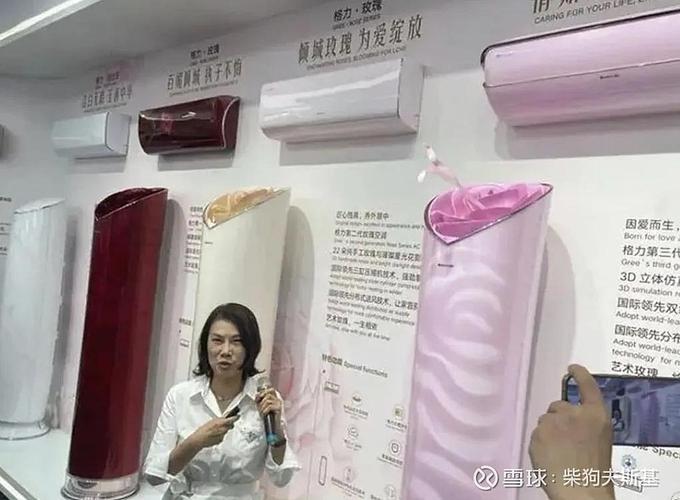 中山格力空调售后维修电话游戏截图