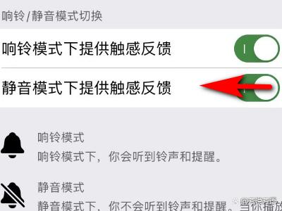 苹果怎么设置静音不震动
