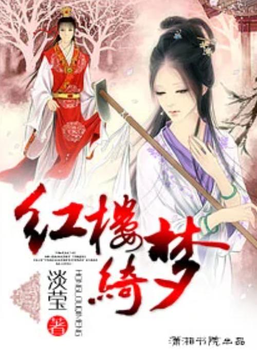 红楼绮梦小说