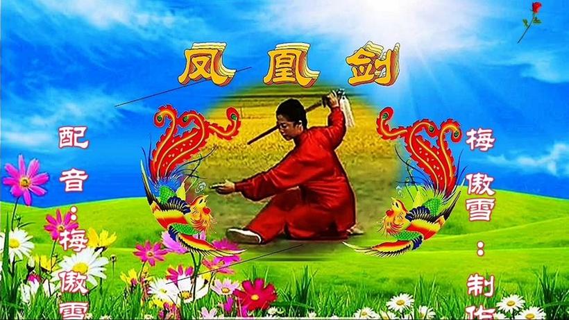 凤凰剑背向口令背面示范