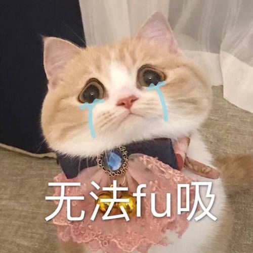 无法购买付费表情截图