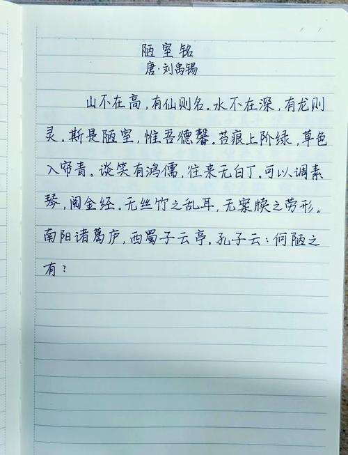打字训练小短文