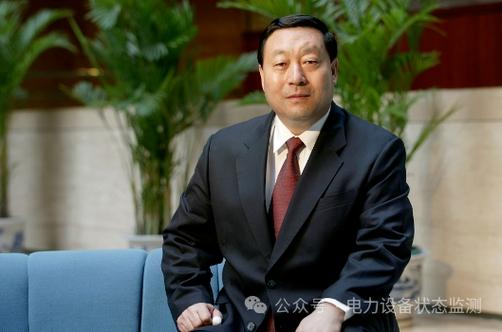 国网一把手什么级别图标
