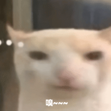 最近很火的沙雕猫表情包动图
