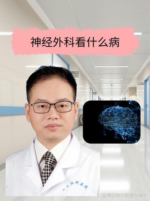 双脑医龙 湘霖网