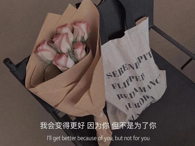 唯美的古风情话翻译英文
