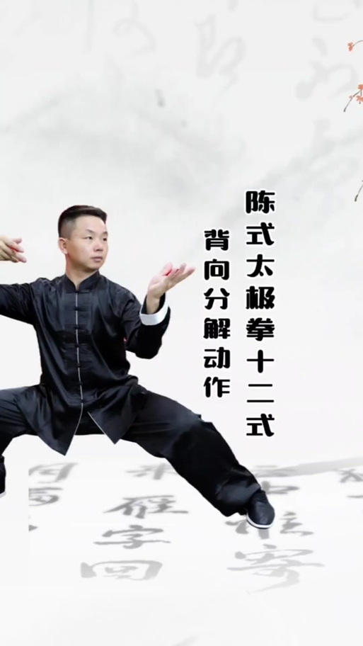 十二式简化太极拳