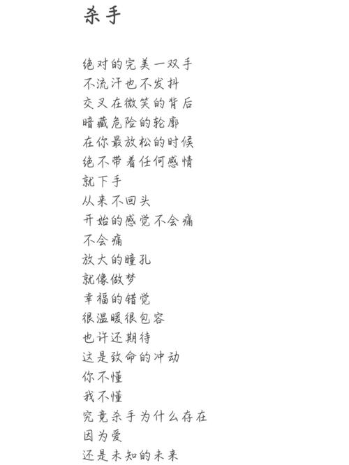 杀手修炼手册的歌词