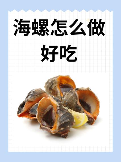 海螺简介游戏截图
