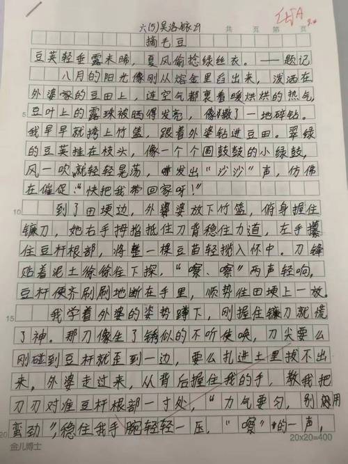 我和玉兔过一天30字