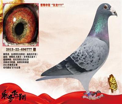 台湾最著名的鸽系游戏截图