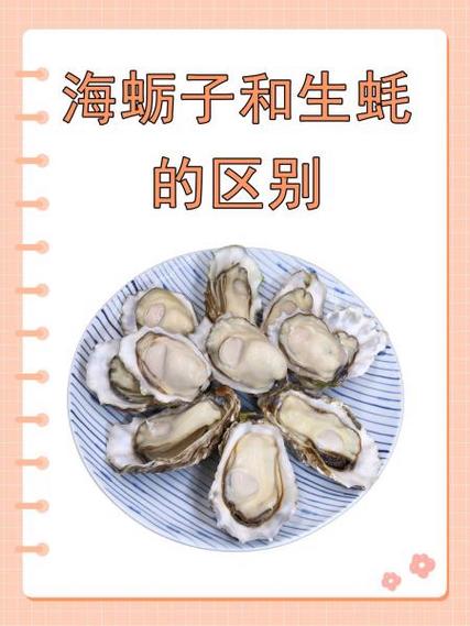 海蛎子和生蚝的区别
