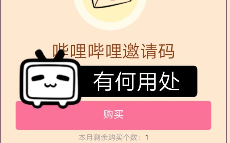 哔哩哔哩邀请码是干嘛的截图