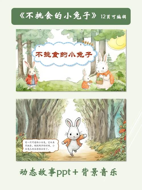 小白兔的故事