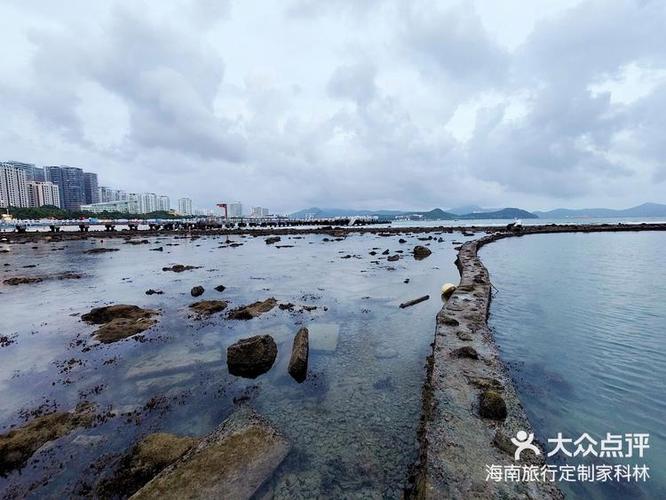 三亚大东海赶海时间表