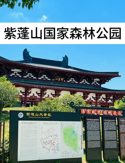 紫蓬山为什么叫死人山截图
